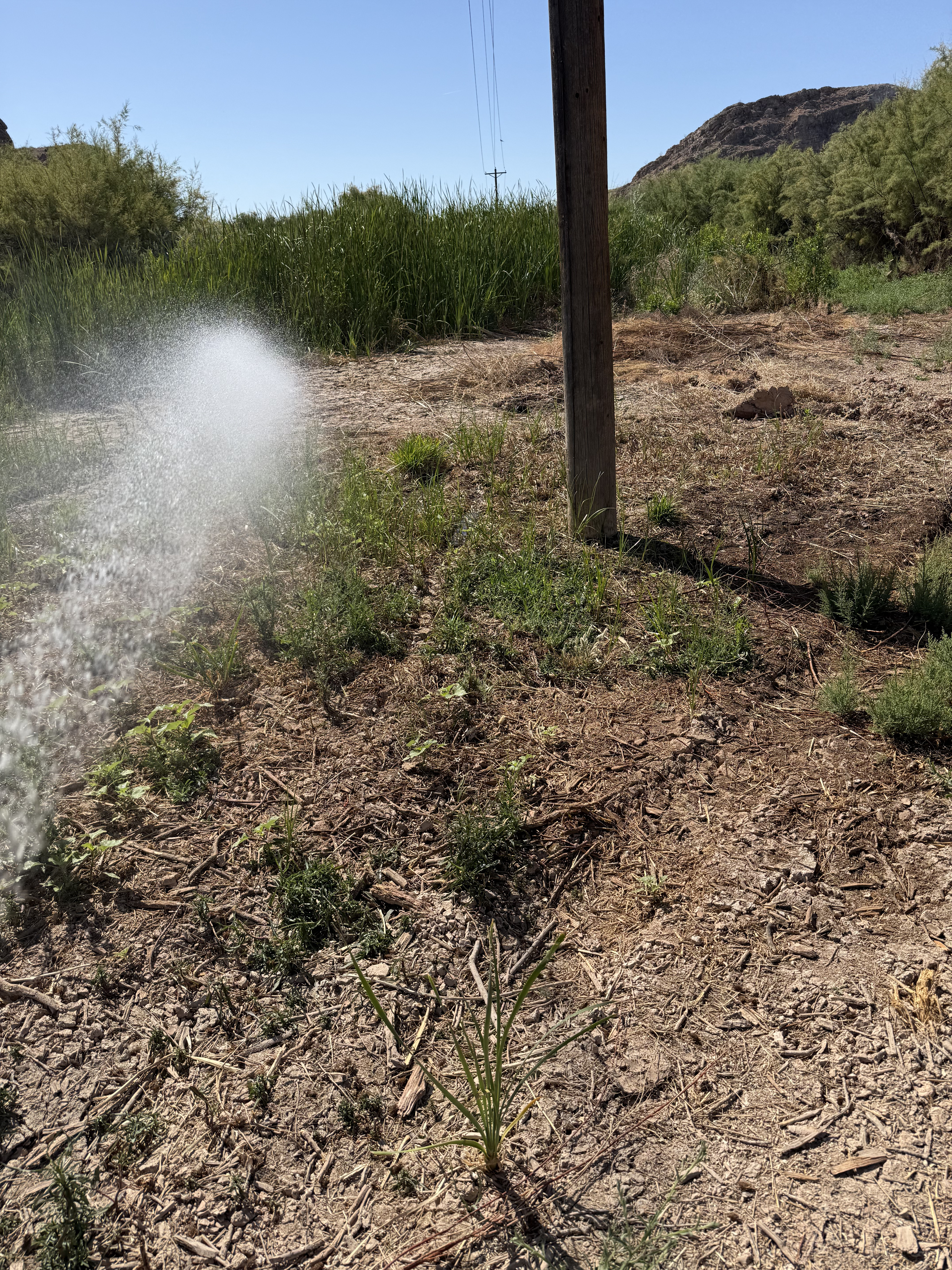 Desert landscape showing fire suppression and weed control work in Las Vegas